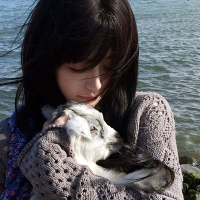 大猫竞技